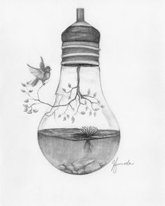 a drawing of a light bulb with a tree branch in it and a bird flying around