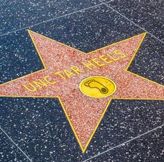 the star on the hollywood walk of fame