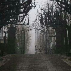 an open gate with benches in front of it on a foggy, gloomy day