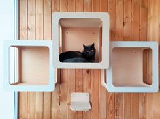 a black cat is sitting in a white box on the wall next to some shelves