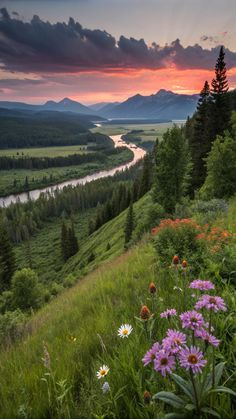 the sun is setting over a valley with wildflowers