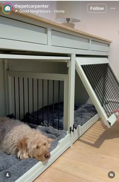 a dog is laying down in his kennel