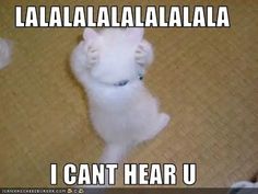 a white kitten is standing on its hind legs and arms up with the caption, i can't hear u