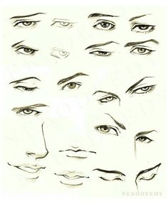 various types of eyes drawn in pencil