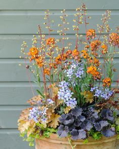 a pot filled with lots of different types of flowers