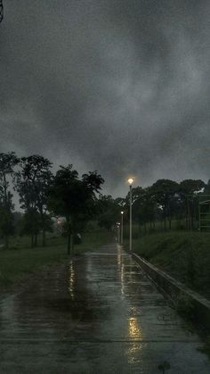 the rain is pouring down on the road and trees in the distance are lit by street lamps