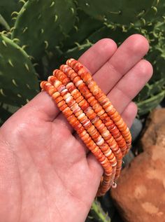 The Uppsala Necklace in Orange Spiny-Necklaces-Calli Co., Turquoise and Silver Jewelry, Native American Handmade, Zuni Tribe, Navajo Tribe, Brock Texas Oyster Jewelry, Spiny Oyster Jewelry, Native American Artists, Colors Orange, Spiny Oyster, Jewelry Cleaner, Metallic Accents, Fine Silver, Cleaning Household