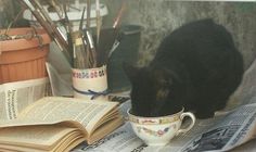 a black cat drinking out of a coffee cup on top of a newspaper next to a potted plant