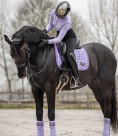 a woman riding on the back of a black horse in purple socks and knee high boots