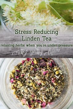 Making Herbal Tea, Linden Tea