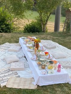 an outdoor picnic with food and drinks laid out on the blanket in the grass near trees