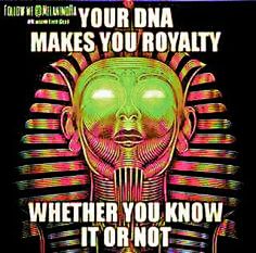 an image of a poster with the words, your dna makes you royaltyly whether you know it or not