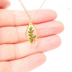 Gold necklace with real pressed fern leaf in resin Terrarium Jewelry An elegant resin necklace with real green hand-picked forest fern. This will be a special gift for a loved one, as ferns symbolize sincerity towards others. If you are giving someone a fern as a gift, you are giving them the hope that they will have confidence, shelters, wealth, and happiness. This is a great plant to give someone that you really care about. Charm size: 24x9mm (0.94 * 0.35 inch) Non-tarnished gold-plated stainl Resin Terrarium, Tarnished Gold, Forest Fern, Pressed Fern, Real Green, Terrarium Jewelry, Large Gift Boxes, Fern Leaf, Green Hand