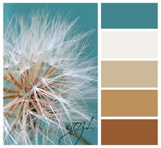 a dandelion with brown and teal colors in the middle, on a blue background