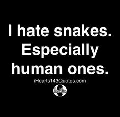 Fraud Quote, Snake Quotes, Fake Friend Quotes, Karma Quotes, Real Talk Quotes, Real Life Quotes, Lesson Quotes, Life Lesson Quotes, Daily Motivational Quotes