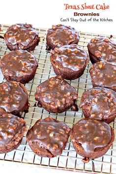 chocolate cupcakes cooling on a wire rack