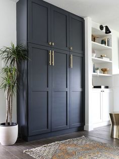 an image of a living room with dark blue cabinets