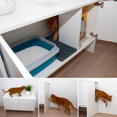 the cat is trying to get out of the litter box that's in the cabinet