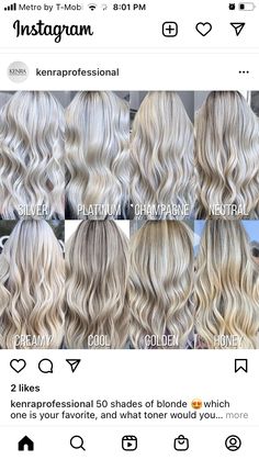 Blond Tones Chart, Ashy Blonde Hair Toner, Cool Vs Ashy Blonde, Different Blonde Toners, Buttery Blonde Formula, Toner For Blonde Hair Before And After, Warm Blonde Hair Formula, Blonde Hair Toner Shades, Goldwell Color Formulas Blondes