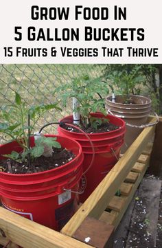 three red buckets filled with plants sitting on top of a wooden shelf next to a fence