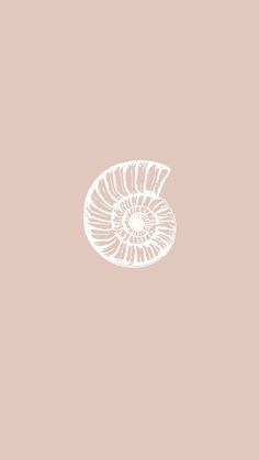 a drawing of a shell on a pink background