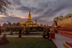 a large golden buddha statue sitting in the middle of a lush green park at sunset