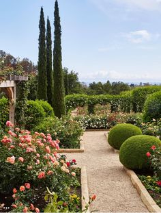 the garden is full of flowers and trees