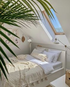 a white bed sitting under a window next to a green palm tree in a bedroom