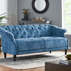 a blue couch sitting in a living room on top of a hard wood floor next to a potted plant