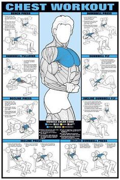 the chest workout poster with instructions