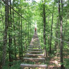 a man walking across a wooden bridge in the middle of a forest with lots of trees