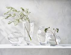 three clear vases with plants in them on a shelf