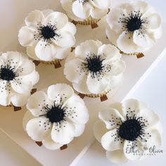 Buttercream Floral Cupcakes

#cupcakes #buttercream #wedding cupcakes #vanilla cupcakes #blackandwhitecupcakes #floral cupcakes Wedding Cupcakes Flowers, Simple Elegant Cupcakes, Wedding Flower Cupcakes, Flower Cupcakes Wedding, Elegant Wedding Cupcakes, Wedding Cup Cakes, Floral Wedding Cupcakes, Black Wedding Cupcakes Ideas