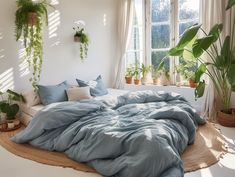 an unmade bed with blue sheets and pillows in front of a window filled with potted plants