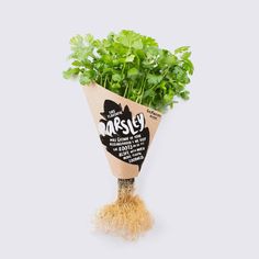 a bunch of parsley in a paper bag