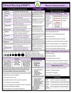 the nursing care plan is shown in purple and black, with an image of nurse's name on it