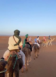 a group of people riding on the backs of camels