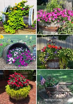 four different pictures of flowers in an old barrel