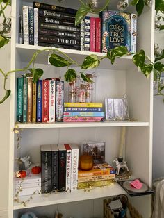 a white book shelf filled with books next to a potted plant and other items