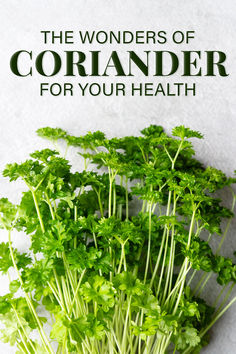 coriander vs cilantro benefits in ayurveda