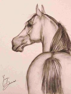 a pencil drawing of a horse's head with long hair in the foreground