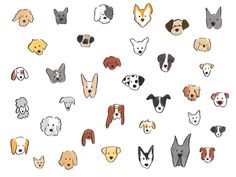 a group of dogs that are all different colors and sizes on a white background with the same dog's head