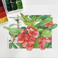 a painting of red flowers with green leaves and watercolors on the table next to it