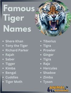 A captivating graphic featuring a collection of famous tiger names, perfect for pet owners seeking inspiration from legendary and iconic feline figures. Animal Nicknames, Snow Tiger, Tiger Moth, Famous Names, Unique Names, Story Ideas, Animated Characters, Book Characters, Tigers