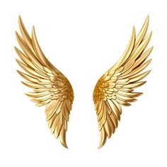 two gold angel wings on a white background with clippings to the left and right side