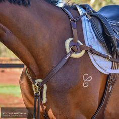 Kentaur ’Palermo’ Breastplate Brown / Full Breastplates Riding Aesthetic, Equestrian Tack, Chestnut Horse Tack, Horse Outfits, Medieval Horse Tack, Horse Tack Rooms, Baroque Horse Tack, Horse Riding Aesthetic, Leather Bridles Horse Tack