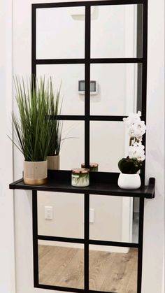 a black shelf with some plants and a potted plant on it in front of a mirror