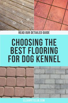 the best flooring for dog kennels and how to use them in your home