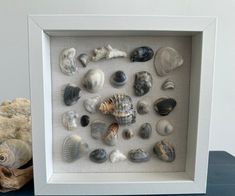 a shadow box frame with seashells in it on a table next to a stuffed animal