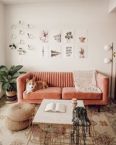 a living room with a couch, coffee table and potted plants